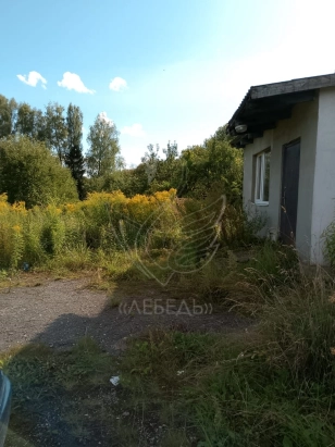 Продается нежилое помещение в Неманском районе