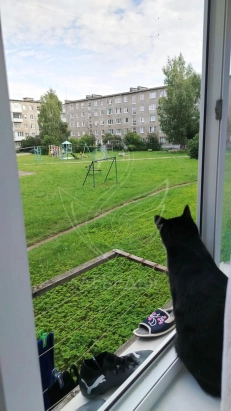 продажа 3х комнатной квартиры.