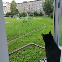 продажа 3х комнатной квартиры.